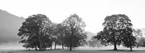 England, Cumbria, Lake District National Park