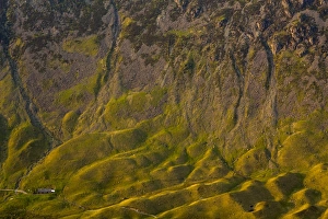 Images Dated 2012: May Collection