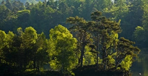 Images Dated 2008: May Collection