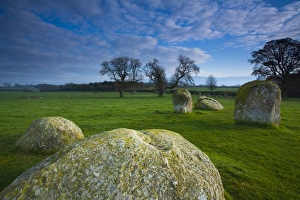 Images Dated 2011 November: 