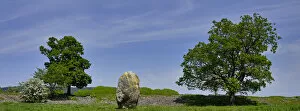 Stone Circle Collection: England, Cumbria, Mayburgh Henge