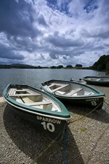 Boat Gallery: England, Cumbria, Talkin Tarn Country Park