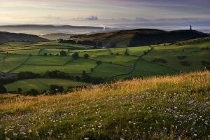 Spirit Of Cumbria Gallery: England, Cumbria, Ulverston. The early morning colours of dawn illuminate fields