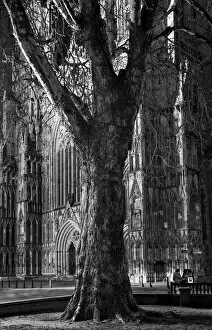B And W Gallery: England, North Yorkshire, York City