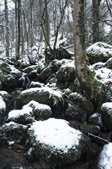 Images Dated 2013: January Collection