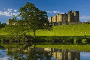 Spirit Of Northumberland Collection: England, Northumberland, Alnwick. Alnwick Castle reflected in the still waters of the River Aln