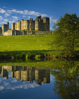 England, Northumberland, Alnwick. Alnwick Castle reflected in the still waters of the River Aln