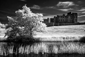 Castle Collection: England, Northumberland, Alnwick Castle
