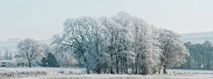 Freezing Gallery: England, Northumberland, Bardon Mill