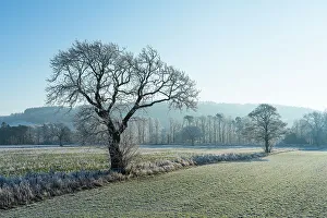 Images Dated 20th March 2023: England, Northumberland, Bardon Mill