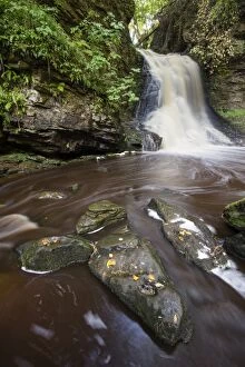 Waterfall Gallery: England, Northumberland, Bellingham
