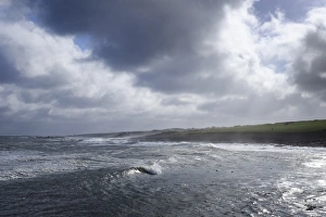 England, Northumberland, Craster