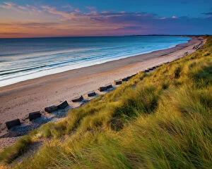 European Gallery: England, Northumberland, Druridge Bay. A dramatic expanse of sand dunes fringing the picturesque beach at Druridge Bay