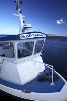 England Northumberland Farne Islands Glad Tidings boat trip to the Farne Islands England Northumberland Farne Islands Glad Tidings boat trip to the Farne Islands