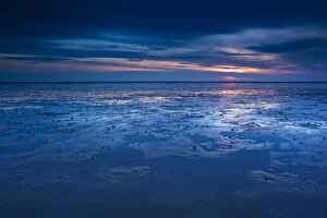 Beaches Gallery: England, Northumberland, Goswell Sands. The blue hues of dawn reflected on the sandy expanse of