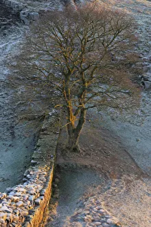 England, Northumberland, Hadrians Wall