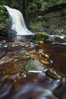 Northumberland National Park Gallery: England, Northumberland, Hareshaw Linn