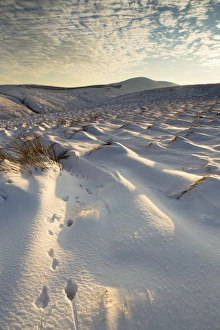 England, Northumberland, Harthope Valley