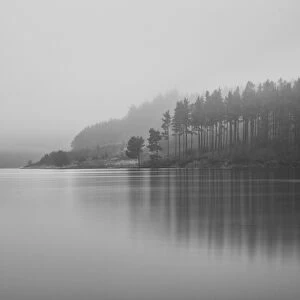 Mist Collection: England, Northumberland, Kielder Water & Forest Park