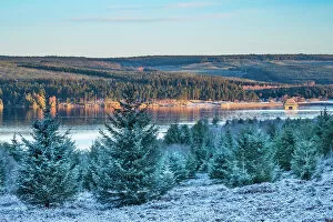 What's New: England, Northumberland, Kielder Water & Forest Park