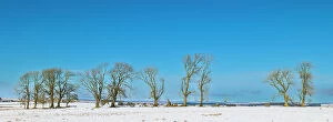 Snow Gallery: England, Northumberland National Park, Tyne Valley