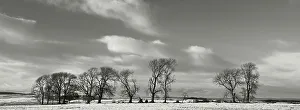 Images Dated 13th March 2023: England, Northumberland National Park, Tyne Valley