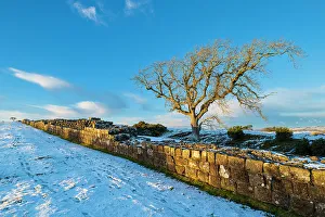Images Dated 13th March 2023: England, Northumberland National Park, Hadrian's Wall
