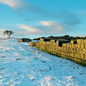 Images Dated 13th March 2023: England, Northumberland National Park, Hadrian's Wall