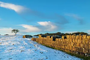 Images Dated 13th March 2023: England, Northumberland National Park, Hadrian's Wall