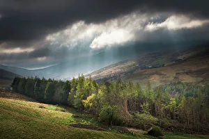 England Gallery: England, Northumberland National Park, Harthope Valley