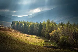England Gallery: England, Northumberland National Park, Harthope Valley
