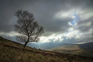 England Gallery: England, Northumberland National Park, Harthope Valley