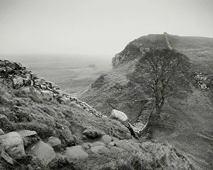 England Gallery: England, Northumberland National Park, Hadrian's Wall