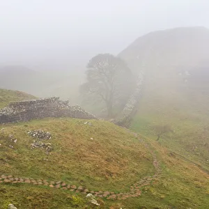 England Gallery: England, Northumberland National Park, Hadrian's Wall