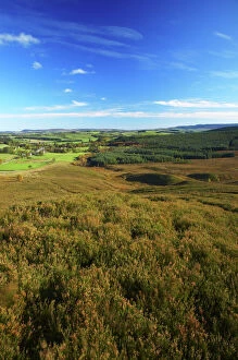 England, Northumberland, Northumberland National Park. View looking from Harbottle Crags Nature Reserve