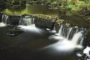 Images Dated 7th September 2010: ENGLAND, Northumberland, Northumberland National Park. The flowing waters of the Hareshaw Burn complemented by