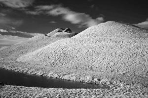 Images Dated 2014: January