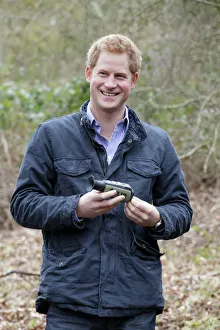 Northumberland Gallery: England, Northumberland, Prince Harry