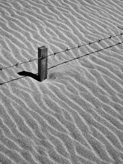 Images Dated 2013: May Collection