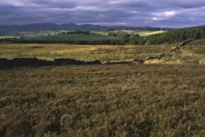 Images Dated 1st January 2000: ENGLAND, Northumberland, Rothbury. The open moorland of the Rothbury Terraces a popular spot for local