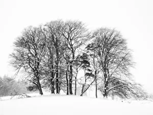 Images Dated 2013: 
