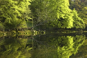 England, Northumberland, Warkworth