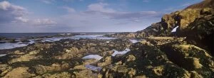Beach Gallery: England, Tyne and Wear, Cullercoats. Rocky coastline and natural arch located on the south side of