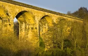 Images Dated 17th December 2008: England, Tyne & Wear, Derwent Walk Country Park. The impressive Nine Arches Viaduct spanning