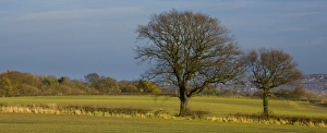 Northern County Gallery: England, Tyne & Wear, Gateshead. Agricultural land in South Tyneside looking towards the city of