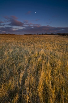 Northern County Gallery: England, Tyne & Wear, Killingworth. The last rays of the setting sun paint a colourful scene