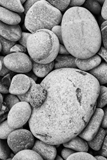 Images Dated 2012: May Collection