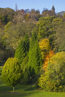 England, Tyne & Wear, Newcastle Upon Tyne. View looking from the Armstrong Bridge towards Jesmond Dene