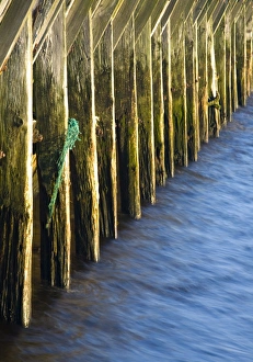 England, Tyne & Wear, North Shields. Abstract view of a wooden sea break located near the mouth of the