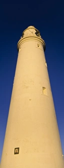 Images Dated 2nd June 2008: ENGLAND Tyne and Wear St Marys Island Warm evening sun illuminates the popular whitley bay
